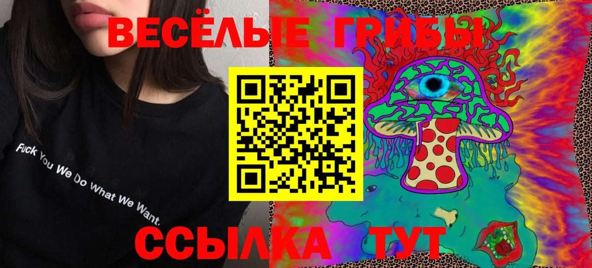 купить   Псилоцибиновые грибы Cubensis  Вход с VPN  Чебоксары 