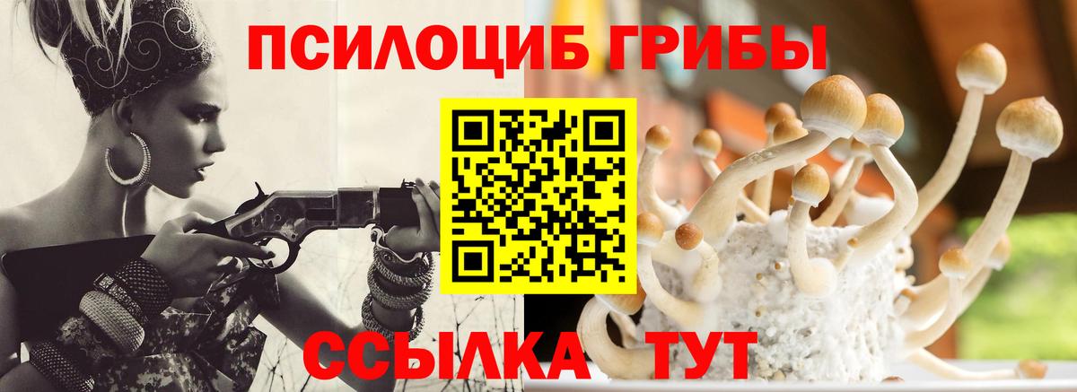 Псилоцибиновые грибы Psilocybine cubensis Чебоксары